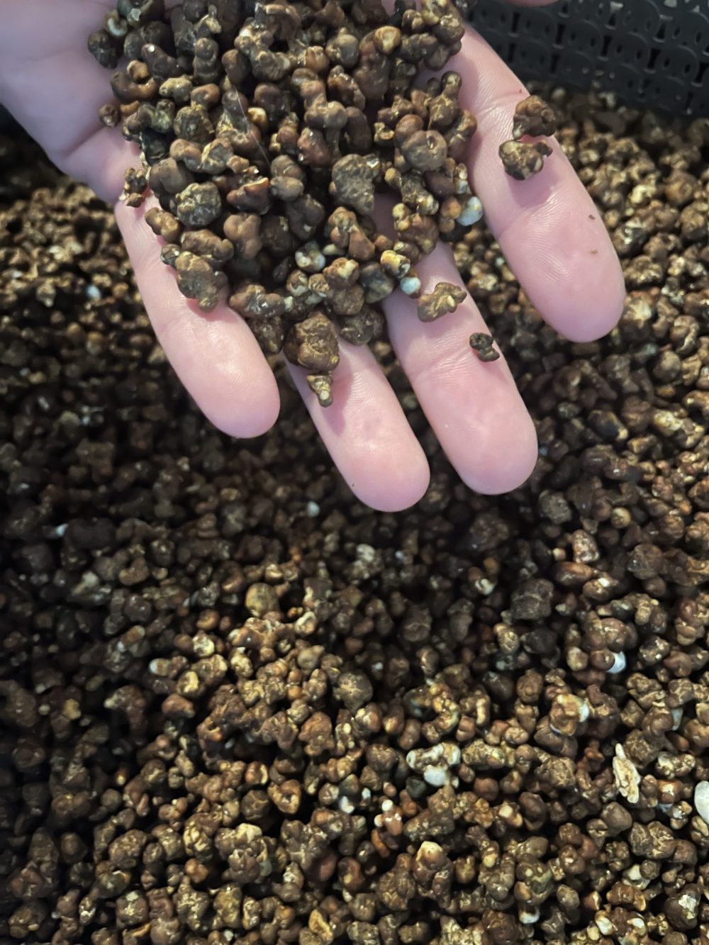 What is microdosing? How it works | GO Microdose