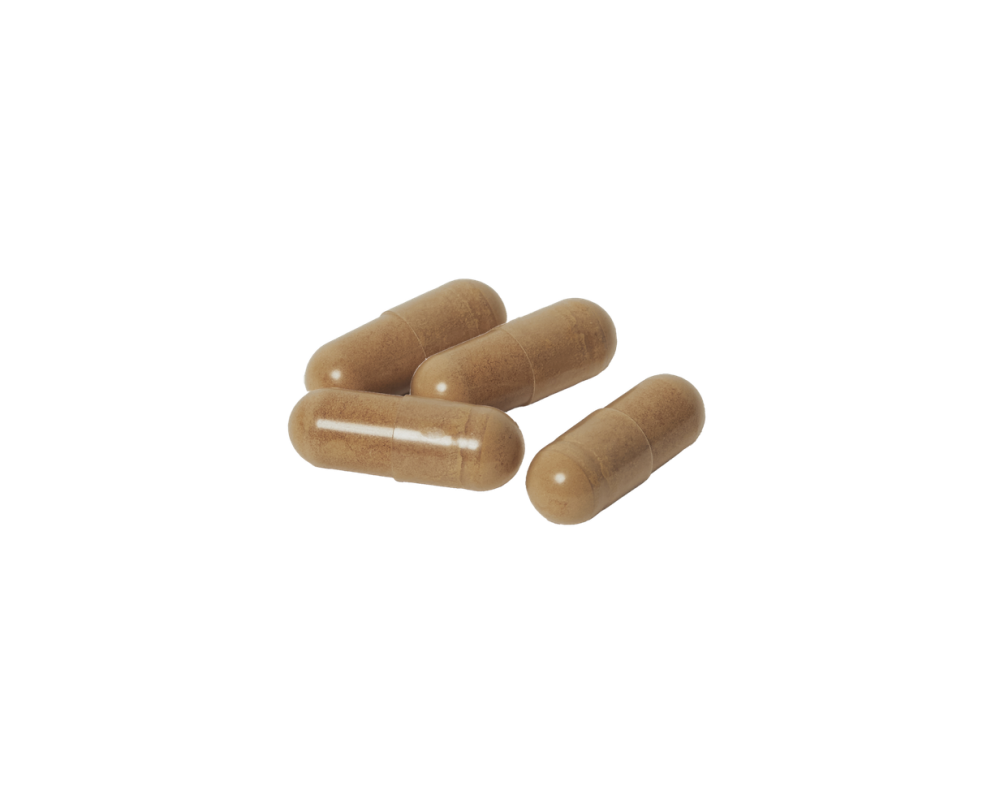 Cordyceps supplement capsules