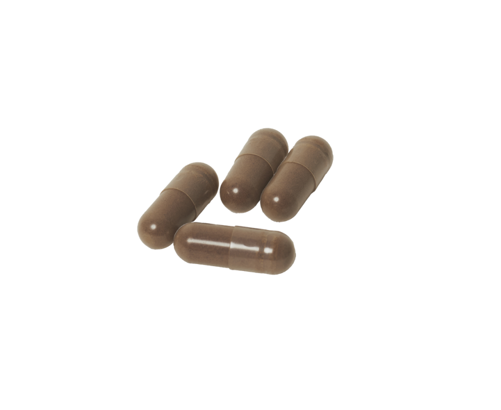 Reishi supplement capsules