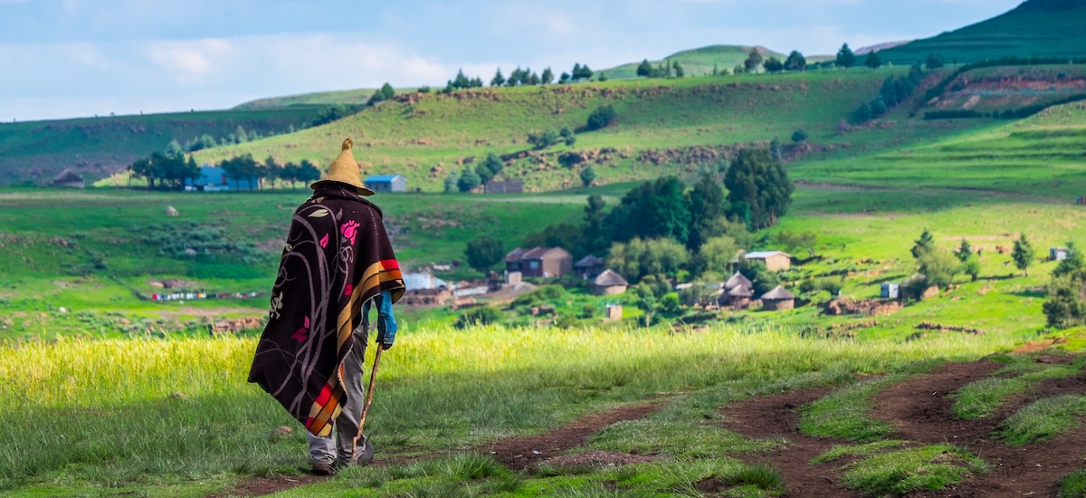 Ontdekking van twee soorten psychedelische paddenstoelen in Zuid-Afrika