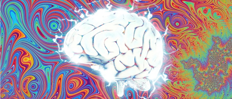 DMT brain