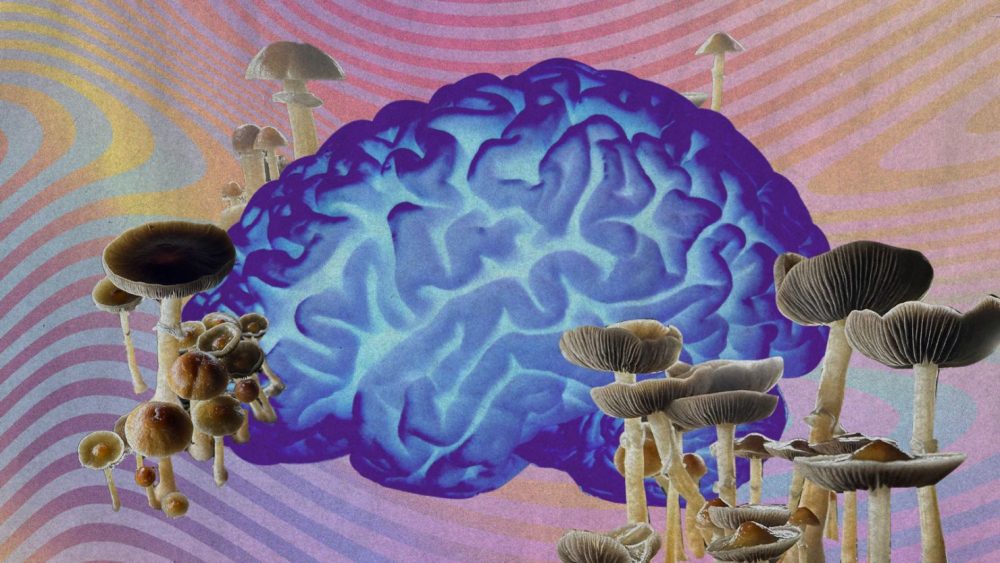 mental healing psychedelics mental healing psychedelics