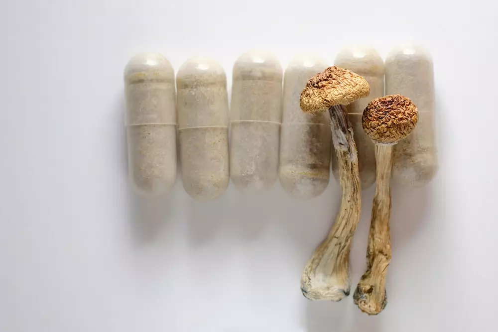 Micro dosing concept. Dry psilocybin mushrooms and herbal pills on ivory background