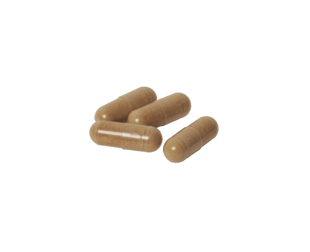 Cordyceps supplement capsules