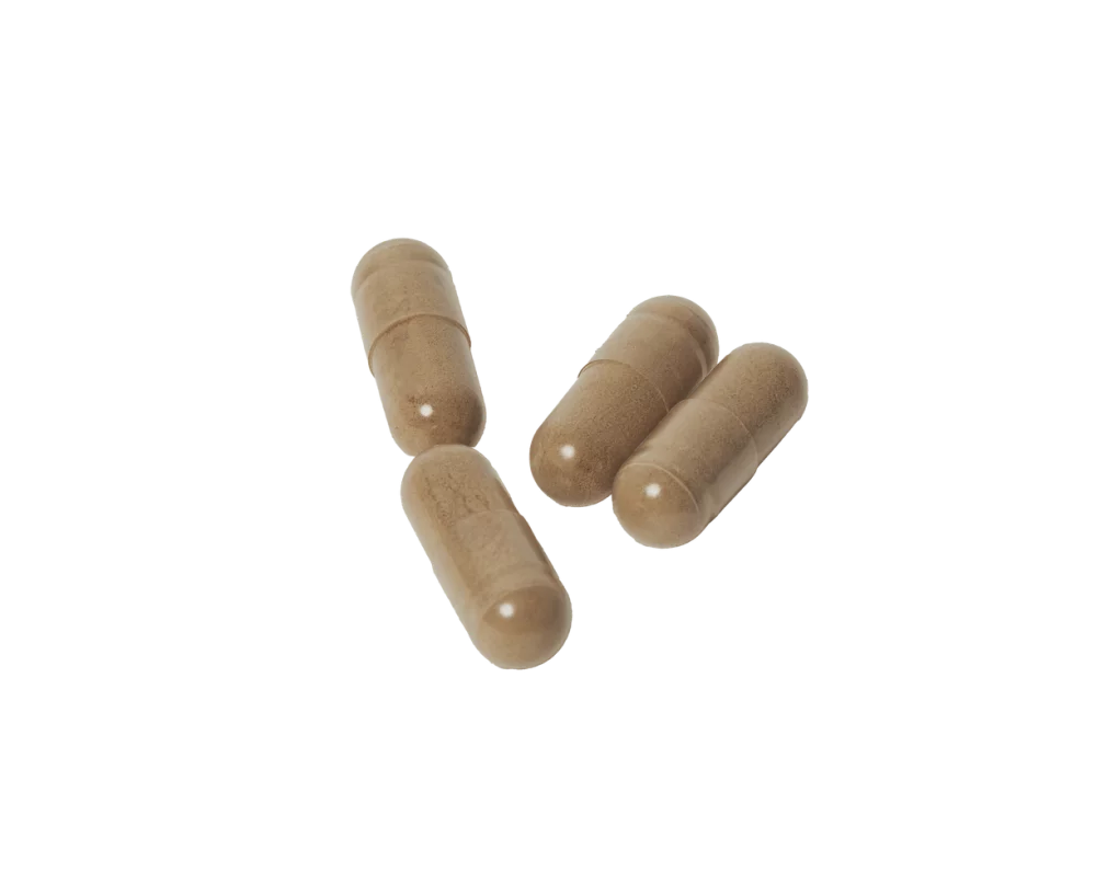 Lion's mane supplement capsules