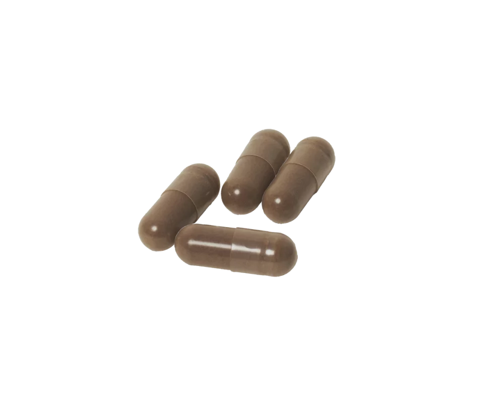 Reishi supplement capsules