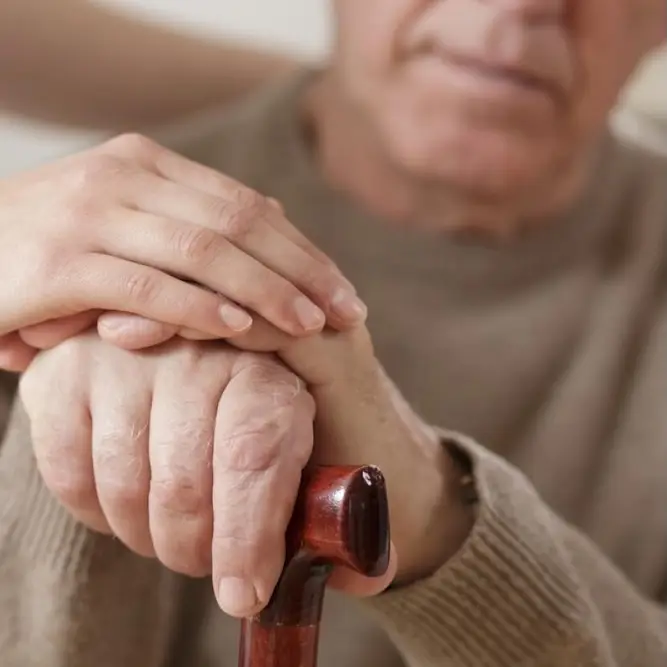 Remarkable Parkinson’s breakthrough: psilocybin treatment shows life-changing results in new study.